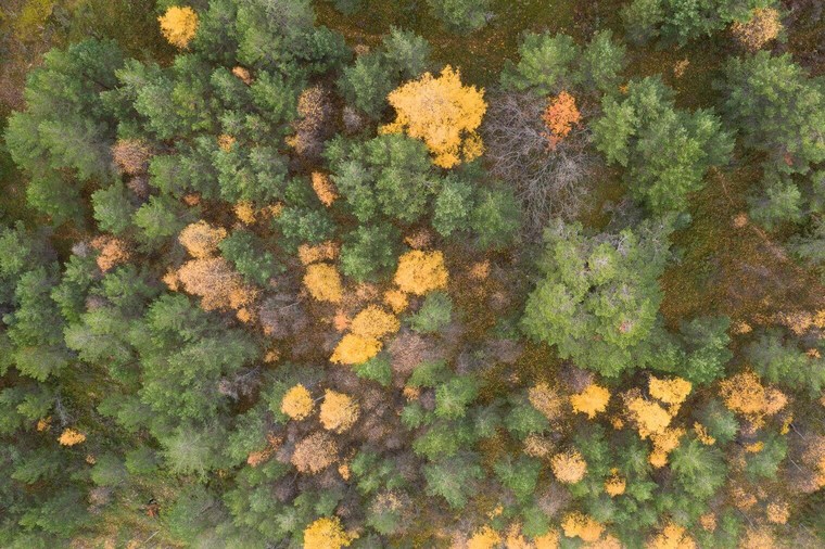 Master Collection 3 Capture One Style packs