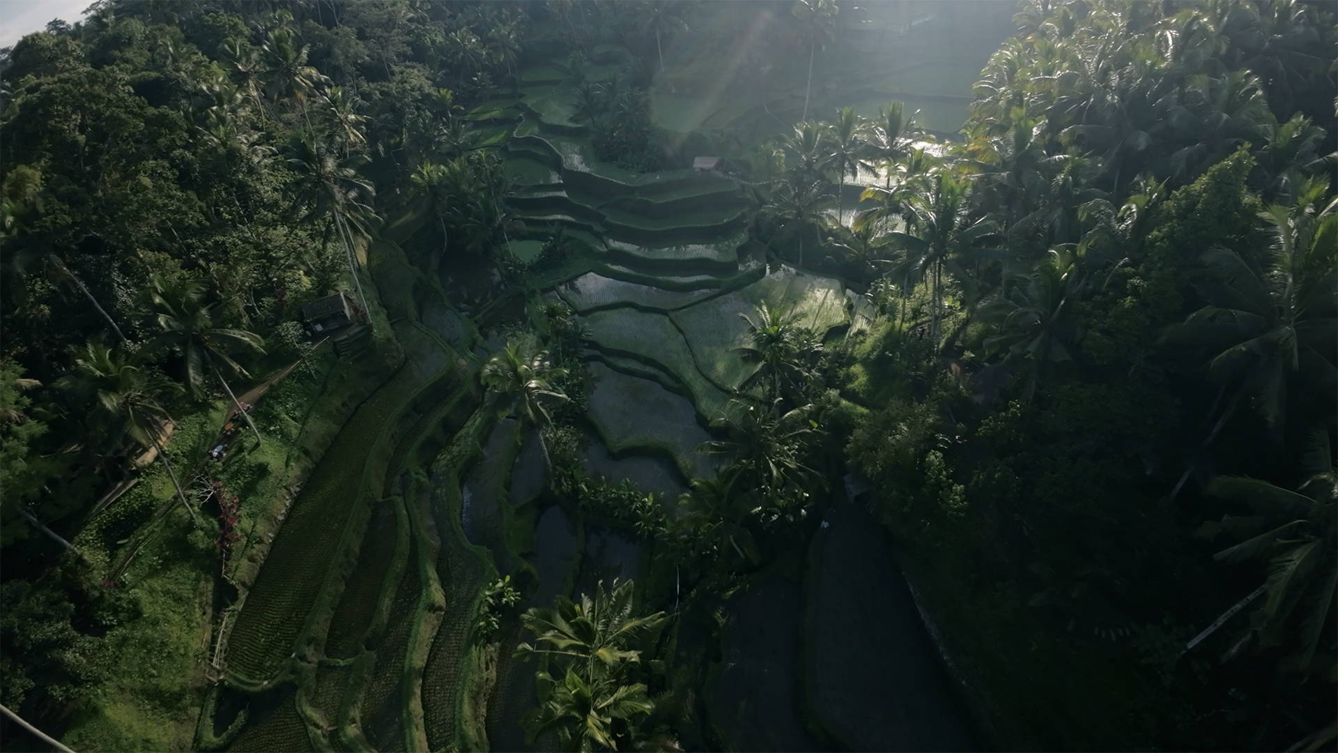 JustKay DJI Avata LUTs
