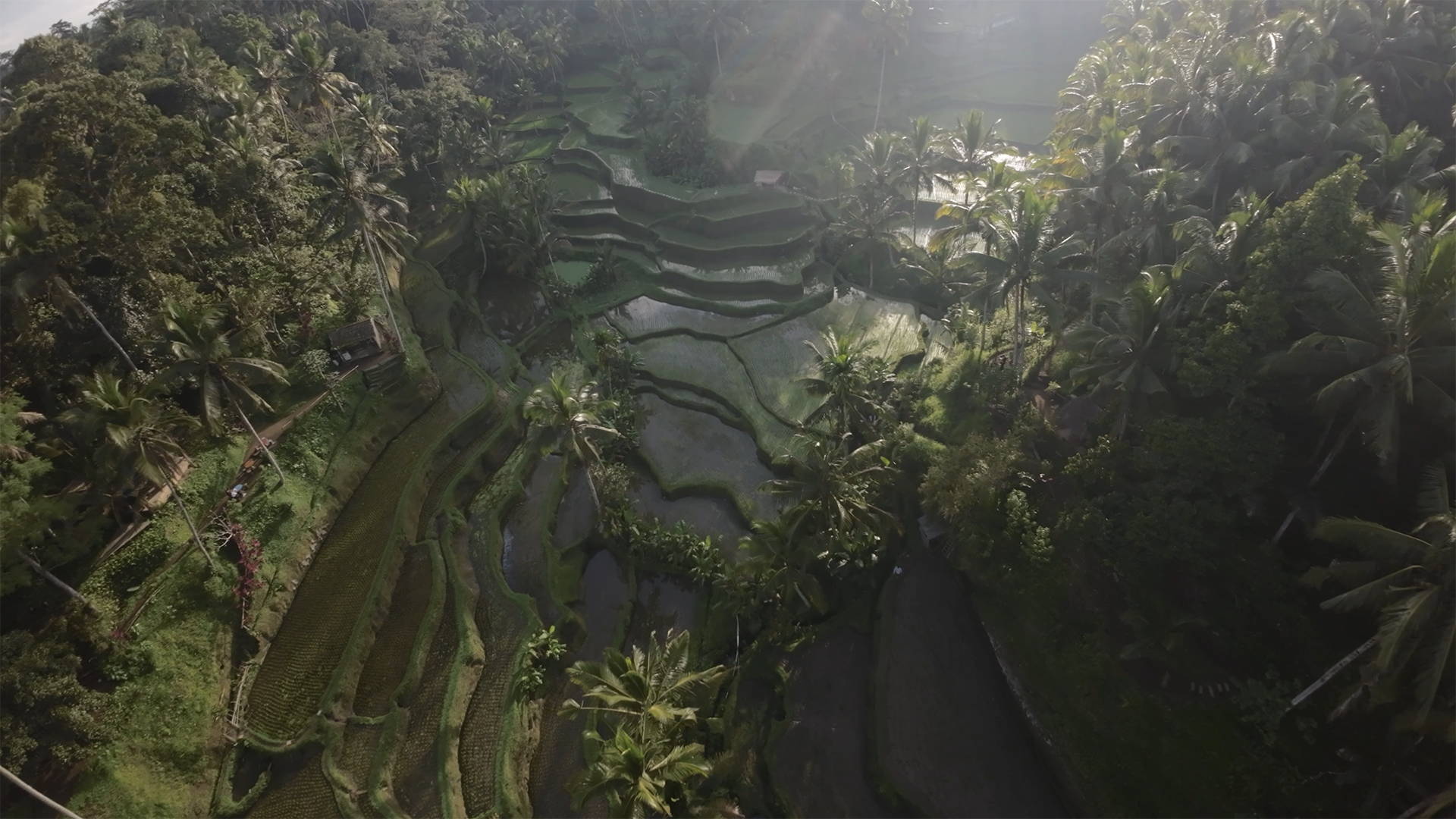 JustKay DJI Avata LUTs