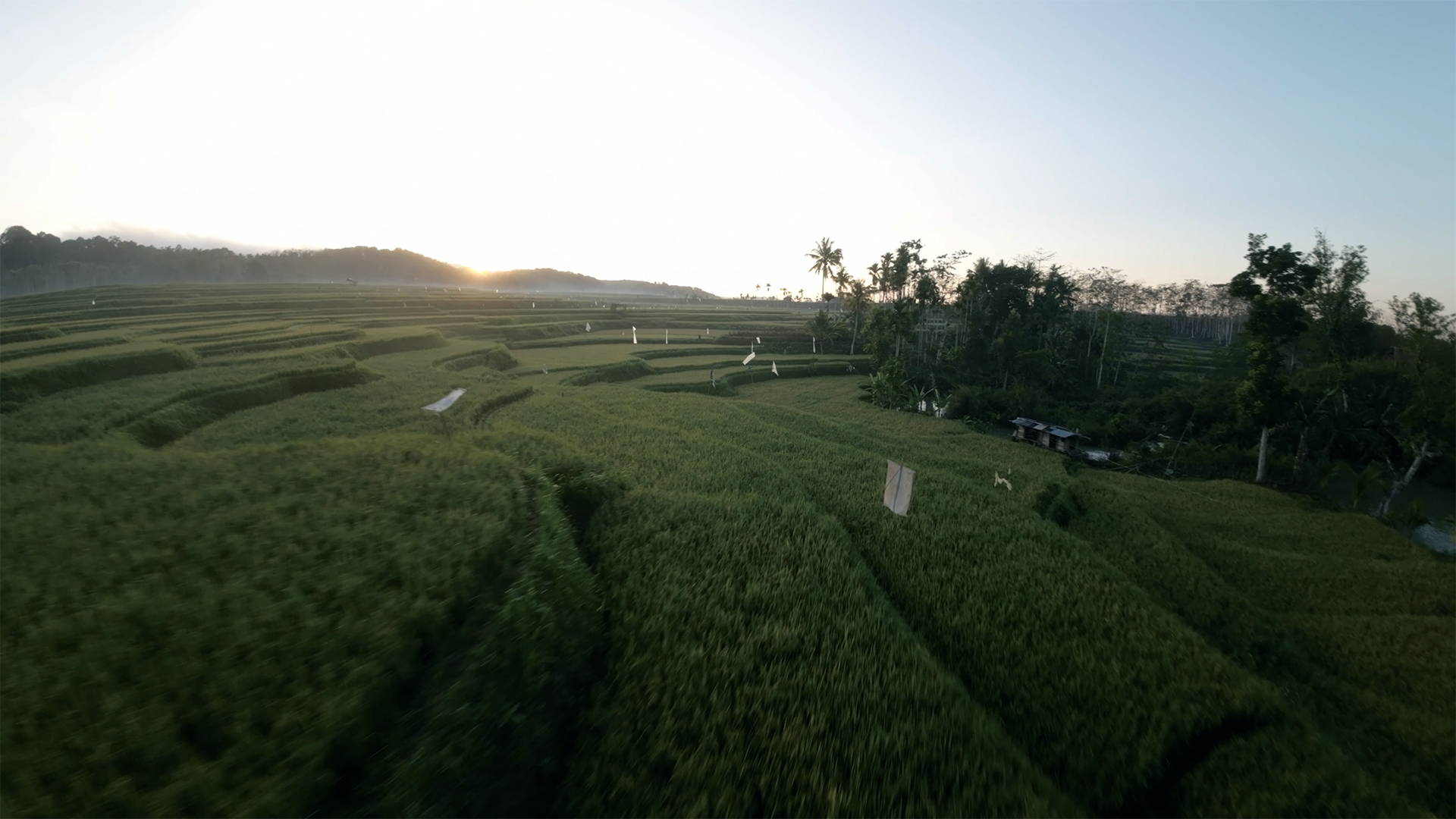 JustKay DJI Avata LUTs