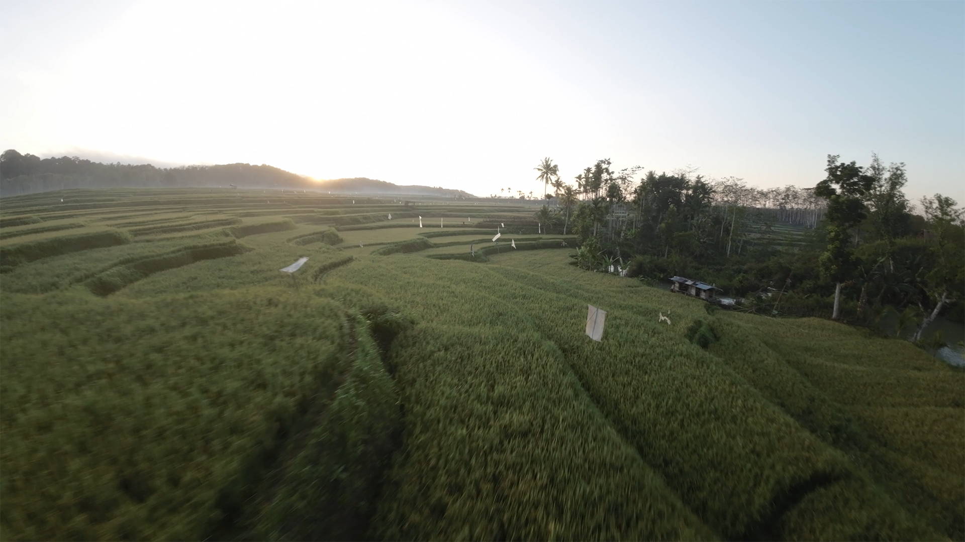 JustKay DJI Avata LUTs