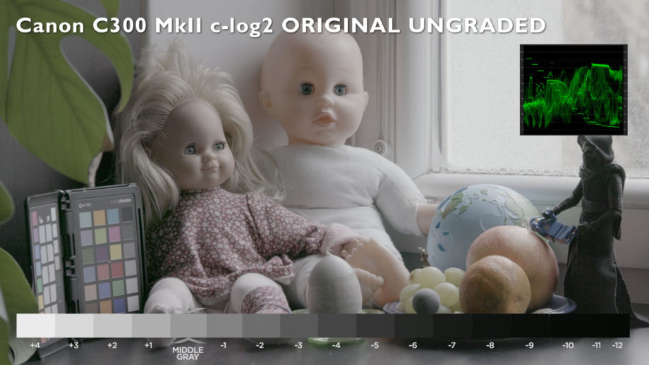 NTEK 1047 Filmstock 5247 Emulation LUT